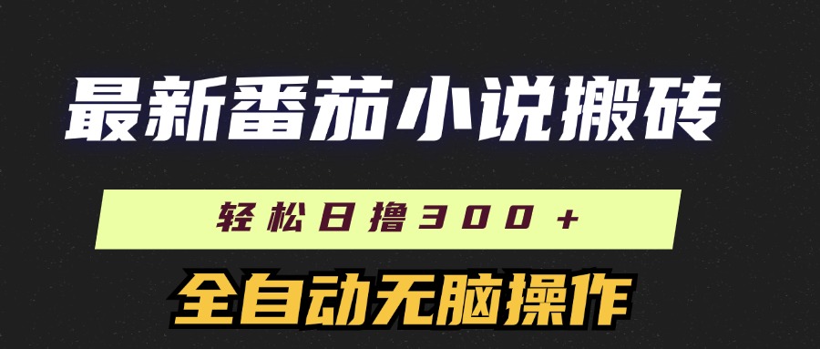 （11904期）最新番茄小说搬砖，日撸300＋！全自动操作，可矩阵放大-wanlih项目库