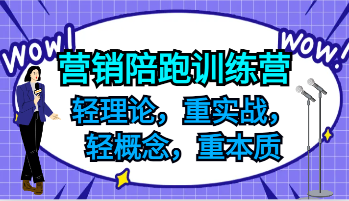 营销陪跑训练营，轻理论，重实战，轻概念，重本质，适合中小企业和初创企业的老板-wanlih项目库
