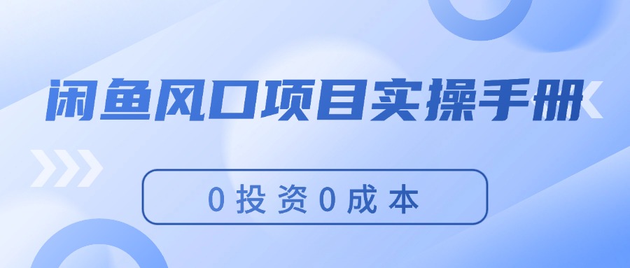 （11923期）闲鱼风口项目实操手册，0投资0成本，让你做到，月入过万，新手可做-wanlih项目库
