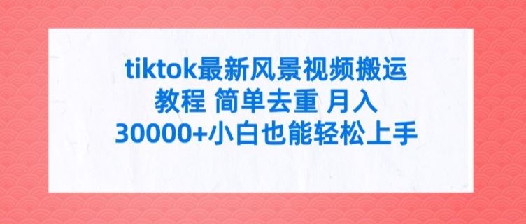 tiktok最新风景视频搬运教程 简单去重 月入3W+小白也能轻松上手【揭秘】-wanlih项目库
