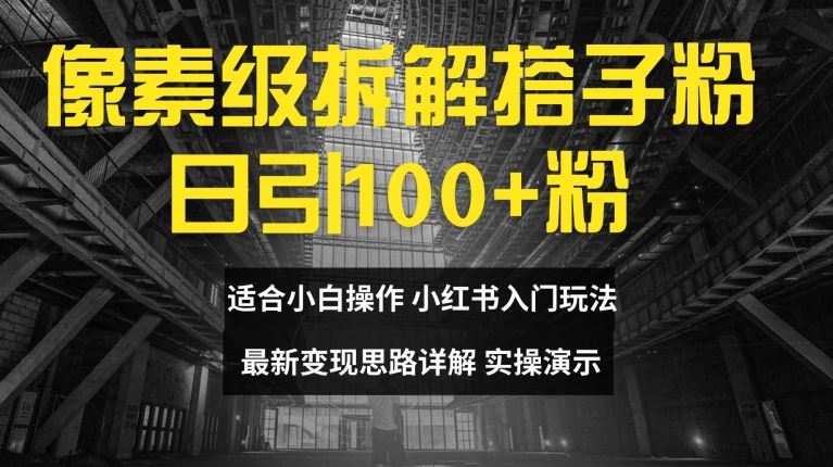 像素级拆解搭子粉，日引100+，小白看完可上手，最新变现思路详解【揭秘】-wanlih项目库