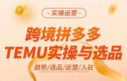 跨境拼多多TEMU实操与选品，多多temu跨境选品运营实操-wanlih项目库