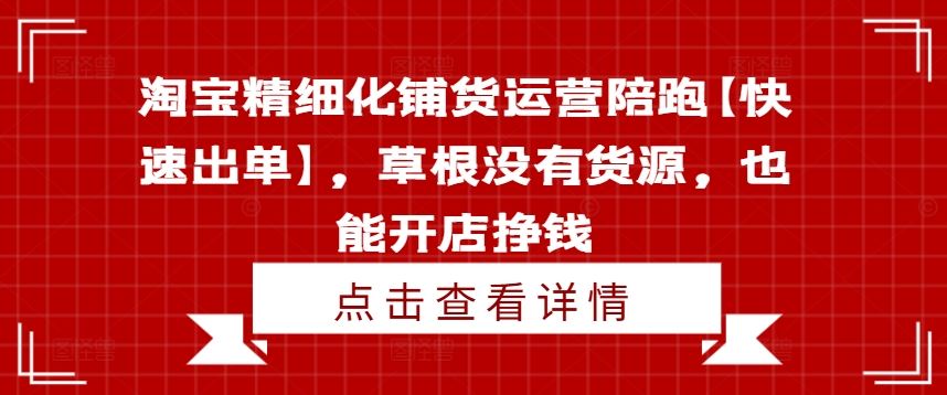 淘宝精细化铺货运营陪跑【快速出单】，草根没有货源，也能开店挣钱-wanlih项目库
