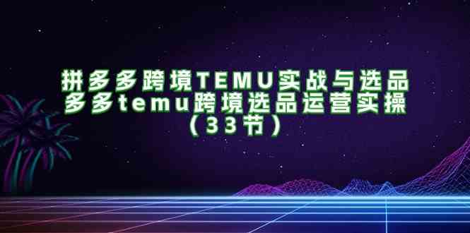 拼多多跨境TEMU实战与选品，多多temu跨境选品运营实操（33节）-wanlih项目库