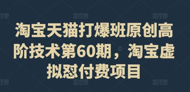 淘宝天猫打爆班原创高阶技术第60期，淘宝虚拟怼付费项目-wanlih项目库