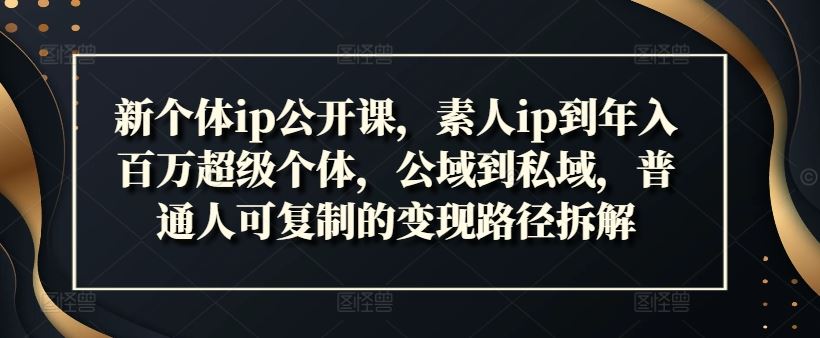新个体ip公开课，素人ip到年入百万超级个体，公域到私域，普通人可复制的变现路径拆解-wanlih项目库