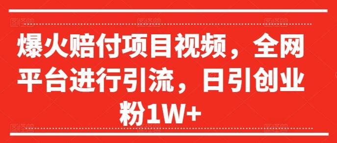 爆火赔付项目视频，全网平台进行引流，日引创业粉1W+【揭秘】-wanlih项目库
