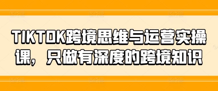 TIKTOK跨境思维与运营实操课，只做有深度的跨境知识-wanlih项目库