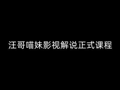 汪哥影视解说正式课程：剪映/PR教学/视解说剪辑5大黄金法则/全流程剪辑7把利器等等-wanlih项目库