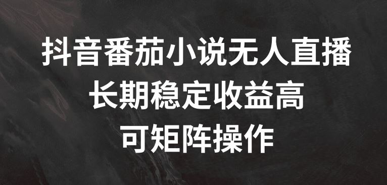 抖音番茄小说无人直播，长期稳定收益高，可矩阵操作【揭秘】-wanlih项目库