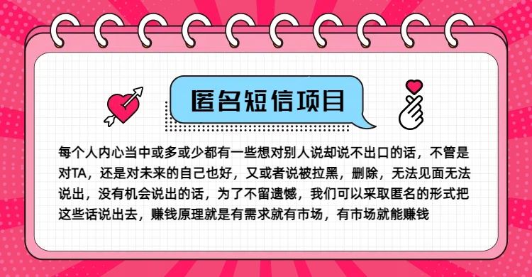 冷门小众赚钱项目，匿名短信，玩转信息差，月入五位数【揭秘】-wanlih项目库