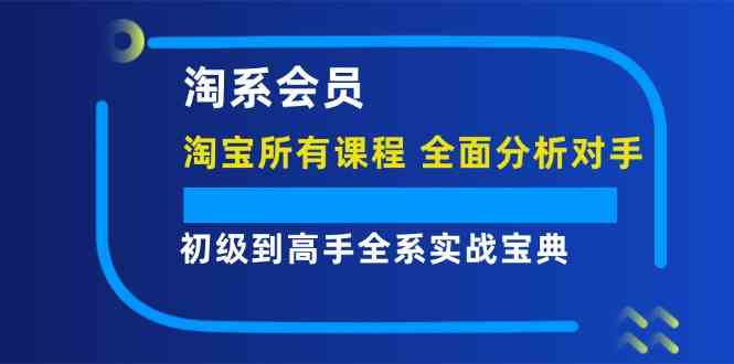 淘系会员初级到高手全系实战宝典【淘宝所有课程，全面分析对手】-wanlih项目库