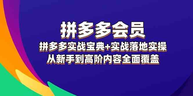 拼多多会员实战宝典+实战落地实操，从新手到高阶内容全面覆盖-wanlih项目库