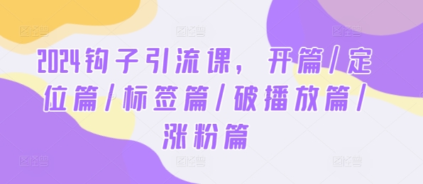 2024钩子引流课，开篇/定位篇/标签篇/破播放篇/涨粉篇-wanlih项目库
