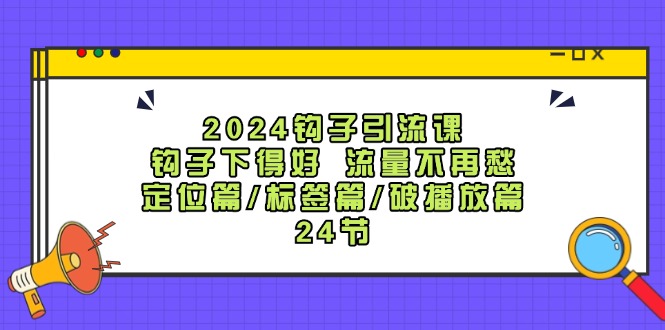 2024钩子引流课：钩子下得好流量不再愁，定位篇/标签篇/破播放篇/24节-wanlih项目库