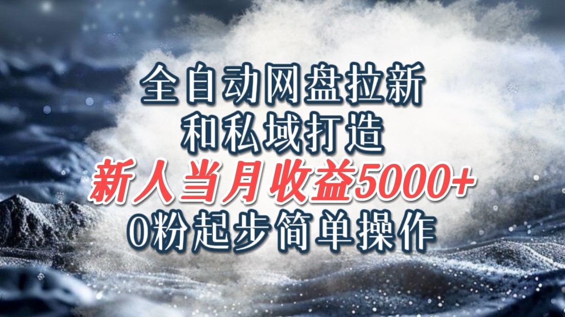 全自动网盘拉新和私域打造，0粉起步简单操作，新人入门当月收益5000以上-wanlih项目库