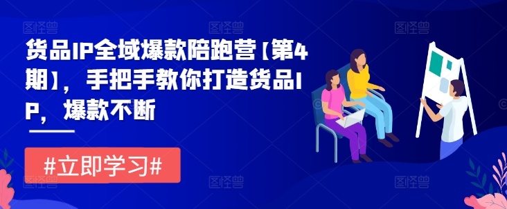 货品IP全域爆款陪跑营【第4期】，手把手教你打造货品IP，爆款不断-wanlih项目库