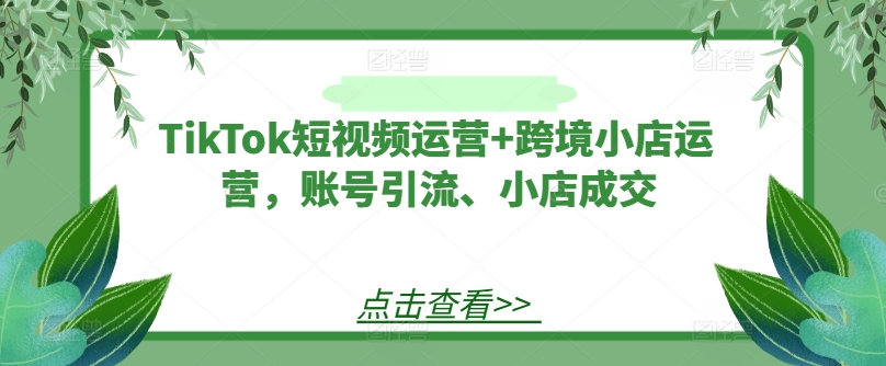 TikTok短视频运营+跨境小店运营，账号引流、小店成交-wanlih项目库