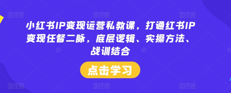 小红书IP变现运营私教课，打通红书IP变现任督二脉，底层逻辑、实操方法、战训结合-wanlih项目库