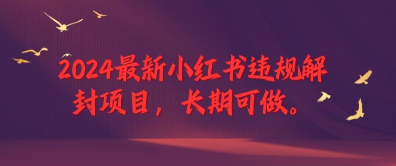 2024最新小红书违规解封项目，长期可做，一个可以做到退休的项目-wanlih项目库