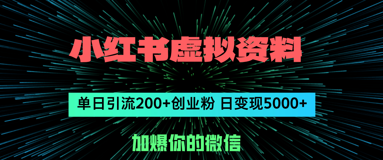 （12164期）小红书虚拟资料日引流200+创业粉，单日变现5000+-wanlih项目库