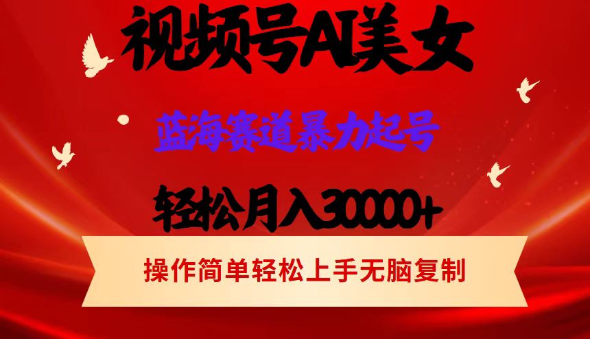 （12178期）视频号AI美女跳舞，轻松月入30000+，蓝海赛道，流量池巨大，起号猛，当…-wanlih项目库