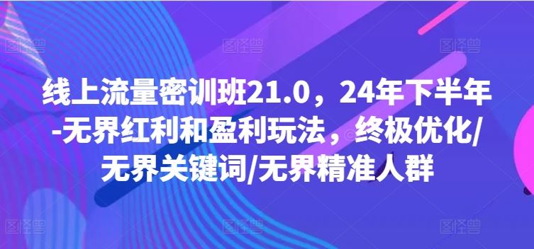 线上流量密训班21.0，24年下半年-无界红利和盈利玩法，终极优化/无界关键词/无界精准人群-wanlih项目库