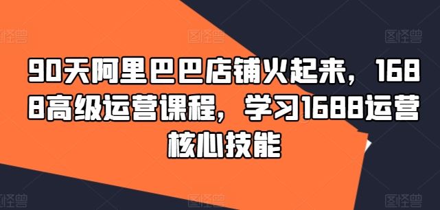 90天阿里巴巴店铺火起来，1688高级运营课程，学习1688运营核心技能-wanlih项目库
