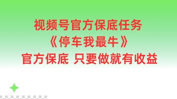 视频号官方保底任务，停车我最牛，官方保底只要做就有收益【揭秘】-wanlih项目库