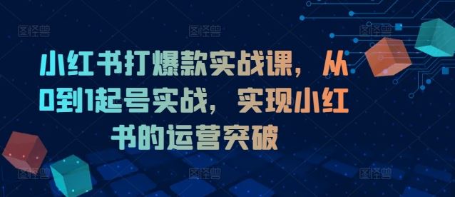 小红书打爆款实战课，从0到1起号实战，实现小红书的运营突破-wanlih项目库