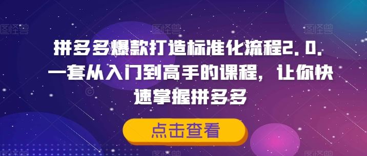 拼多多爆款打造标准化流程2.0，一套从入门到高手的课程，让你快速掌握拼多多-wanlih项目库