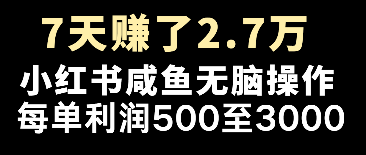 七天赚了2.7万！每单利润最少500+，轻松月入5万+小白有手就行-wanlih项目库