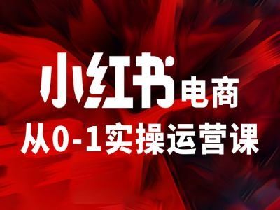 小红书电商从0-1实操运营课，让你从小白到精英-wanlih项目库