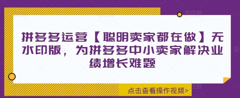 拼多多运营【聪明卖家都在做】无水印版，为拼多多中小卖家解决业绩增长难题-wanlih项目库