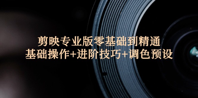 （12310期）剪映专业版零基础到精通：基础操作+进阶技巧+调色预设"-wanlih项目库