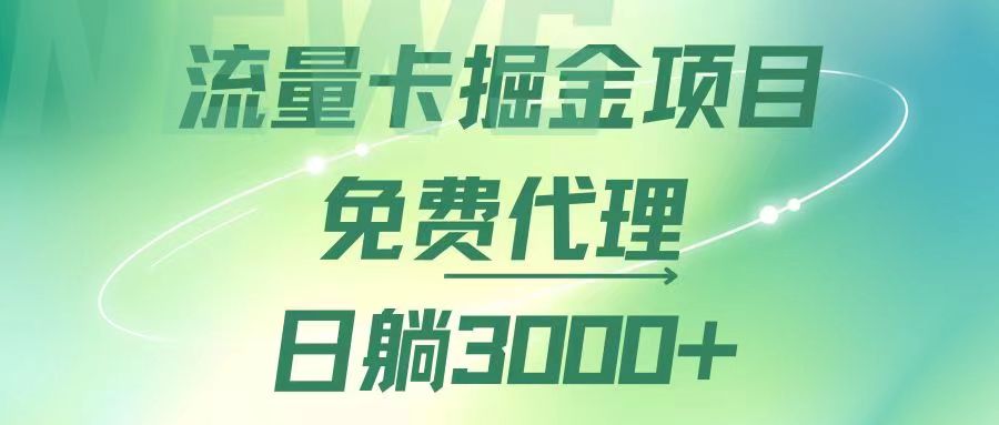 （12321期）流量卡掘金代理，日躺赚3000+，变现暴力，多种推广途径-wanlih项目库
