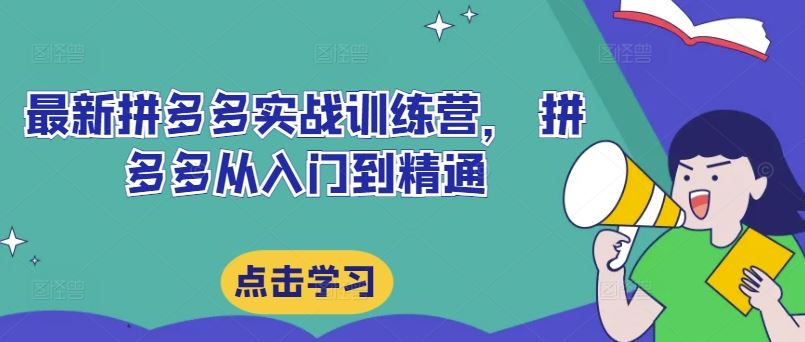 最新拼多多实战训练营， 拼多多从入门到精通-wanlih项目库