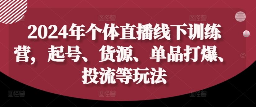 2024年个体直播训练营，起号、货源、单品打爆、投流等玩法-wanlih项目库