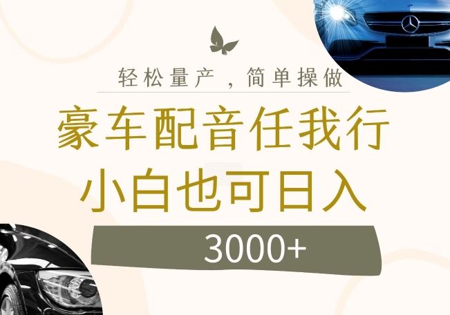 不为人知的暴力小项目，豪车配音，日入几张【揭秘】-wanlih项目库