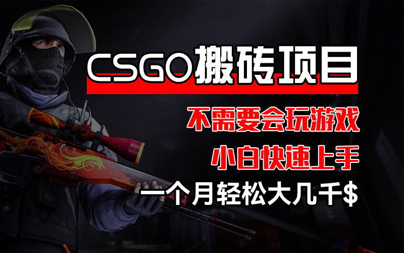 （12332期）CSGO 装备搬砖项目，操作简单，不需要会玩游戏，小白也能快速上手，一…-wanlih项目库