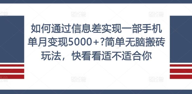 如何通过信息差实现一部手机单月变现5000+?简单无脑搬砖玩法，快看看适不适合你【揭秘】-wanlih项目库