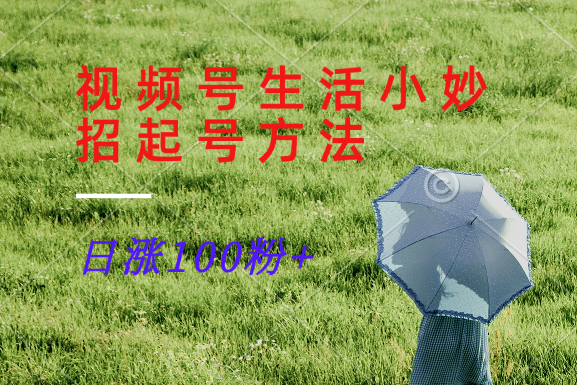 视频号生活小妙招分享赛道， 起号涨粉新方法，日涨100粉-wanlih项目库