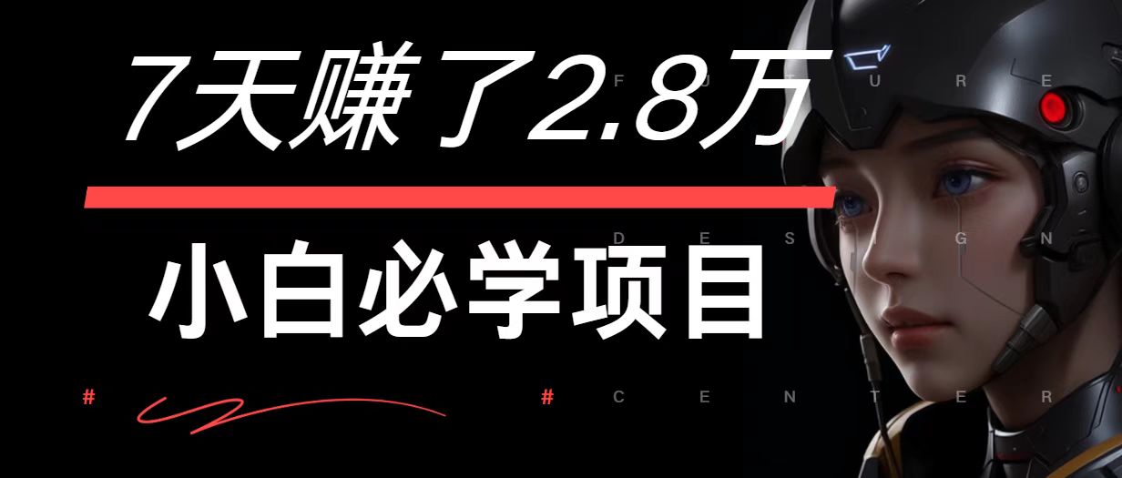 7天赚了2.8万！每单利润最少500+，轻松月入7万+小白有手就行-wanlih项目库