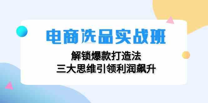 电商选品实战班：解锁爆款打造法，三大思维引领利润飙升-wanlih项目库