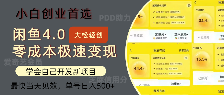 （12434期）闲鱼0成本极速变现项目，多种变现方式 单号日入500+最新玩法-wanlih项目库