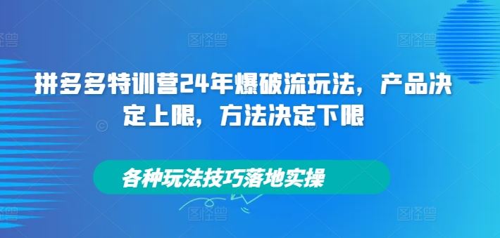 拼多多特训营24年爆破流玩法，产品决定上限，方法决定下限，各种玩法技巧落地实操-wanlih项目库