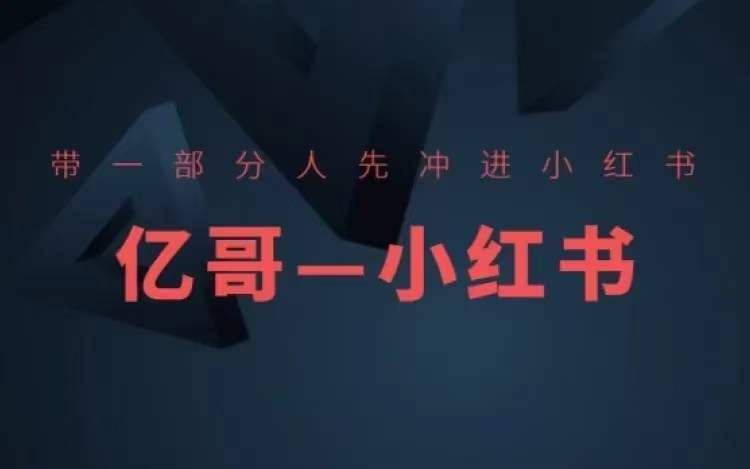 ​​带一部分人先冲进小红书，小红书开店、选品、爆款裂变-wanlih项目库