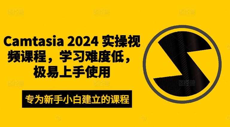 Camtasia 2024 实操视频课程，学习难度低，极易上手使用-wanlih项目库