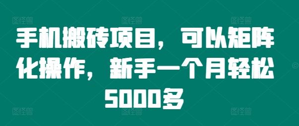 手机搬砖项目，可以矩阵化操作，新手一个月轻松5000多-wanlih项目库