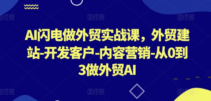 AI闪电做外贸实战课，​外贸建站-开发客户-内容营销-从0到3做外贸AI(更新)-wanlih项目库